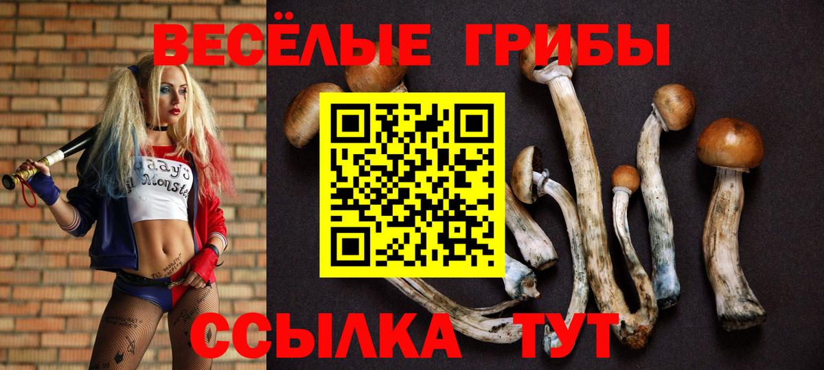 Галлюциногенные грибы Psilocybe  Вход с VPN  Бутурлиновка 